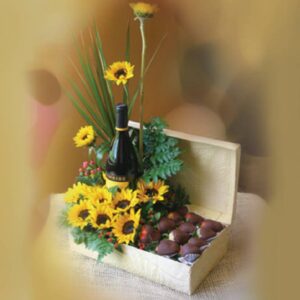 Aprendiendo A sonreír