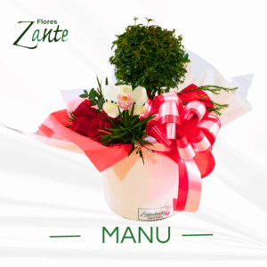 Regalos de bonsái (Manu)