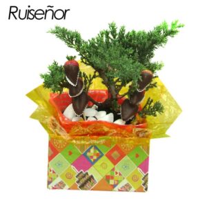 Regalo arreglo de bonsai muy elegante