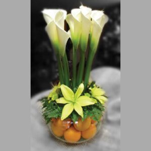 Como Caido del Cielo