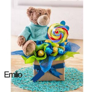 Regalos para cumpleaños (Emilio)