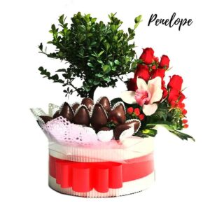 Arreglos florales con bonsai (Penélope)