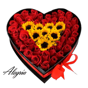 Regalo para aniversario, cumpleaños (Alegría)