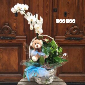 Arreglos para cumpleaños de orquídea