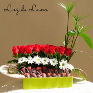 Arreglos Florales ( Luz de luna)