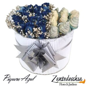 Regalos para cumpleaños (principe azul)