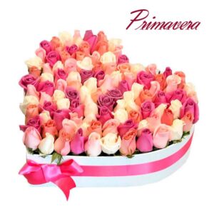 Regalos para cumpleaños ( primavera)