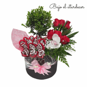 Bonsai arreglos florales (bajo el atardecer)