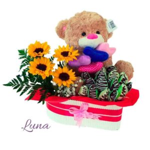 Arreglos florales con peluche (Luna)