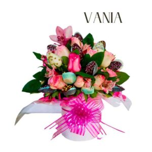 Flores Y Chocolates Vania