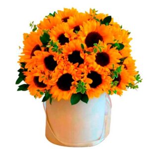 Arreglos De Girasoles (Verona)