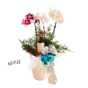 Plantas de Orquídeas(Annie)