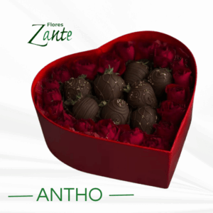 El regalo perfecto ( Antho)