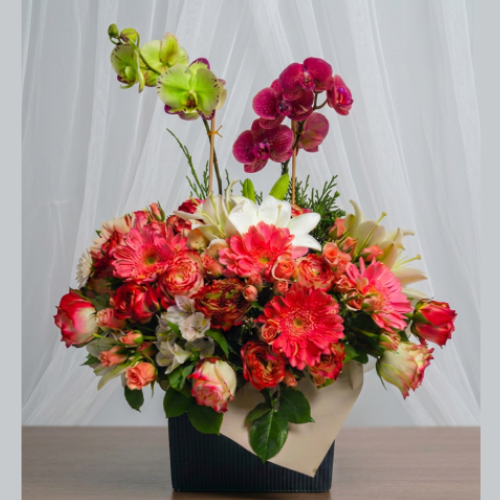Arreglo floral primaveral en base elegante con dos plantas de orquídeas, rosas, gerberas y follaje verde en tonos vivos.